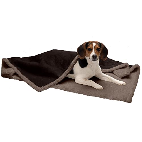 Furhaven Medium Waterproof & Self-Warming Soft-Edged Terry & Sherpa Dog Blanket, Washable - Espresso, Medium von Furhaven