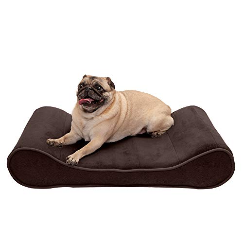 Furhaven Hundebett aus Memory-Schaum für mittelgroße und kleine Hunde mit abnehmbarem, waschbarem Bezug, für Hunde bis zu 10,4 kg, Microvelvet Luxe-Liege, Konturmatratze – Espresso, Größe M von Furhaven