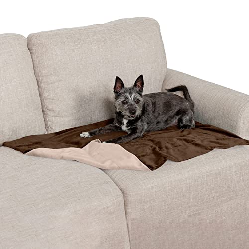 Furhaven Small Waterproof Two-Tone Luxe Velvet Dog Blanket, Washable - Brownstone, Small von Furhaven