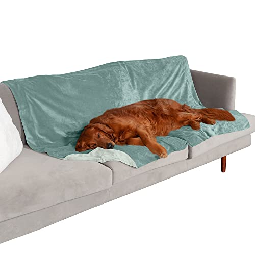 Furhaven XL Waterproof Two-Tone Luxe Velvet Dog Blanket, Washable - Celadon Green, Extra Large von Furhaven