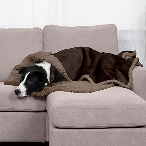 Furhaven XL Waterproof & Self-Warming Soft-Edged Terry & Sherpa Dog Blanket, Washable - Espresso, Extra Large von Furhaven