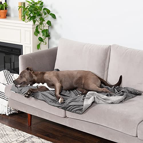 Furhaven Large Waterproof Two-Tone Luxe Velvet Dog Blanket, Washable - Granite Gray, Large von Furhaven