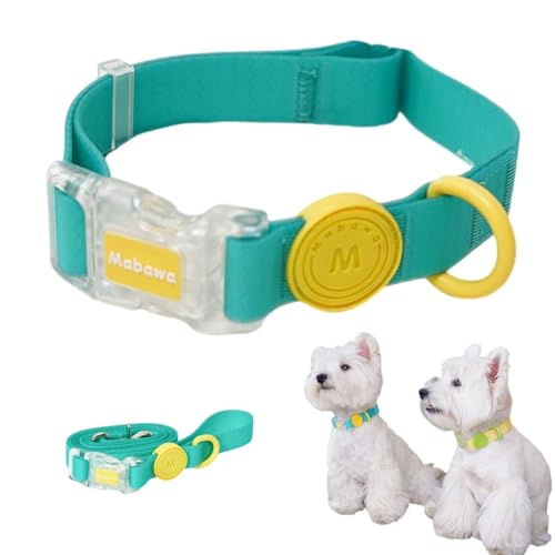 FurrPhunny Breakaway Hundehalsband und Leine, wasserdicht, modisch, langlebig, verstellbares Hundehalsband mit langer Leine für kleine, mittelgroße und große Hunde (Grün, L) von FurrPhunny