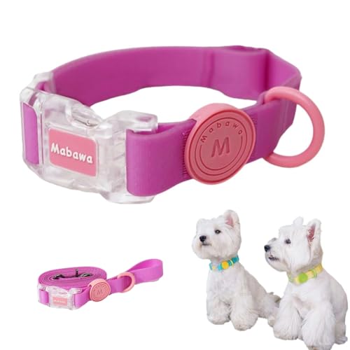 FurrPhunny Breakaway Hundehalsband und Leine, wasserdicht, modisch, langlebig, verstellbares Hundehalsband mit langer Leine für kleine, mittelgroße und große Hunde (Rosa, L) von FurrPhunny