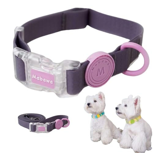 FurrPhunny Breakaway Hundehalsband und Leine, wasserdicht, modisch, langlebig, verstellbares Hundehalsband mit langer Leine für kleine, mittelgroße und große Hunde (lila, L) von FurrPhunny