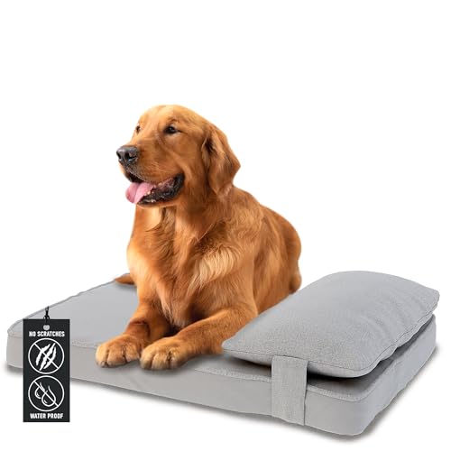 Waschbares Hundebett aus Memory-Schaum, orthopädisches Hundebett für große Rassen, super robust, große Hundebetten für extra große Hunde, waschbarer Bezug Hundebett mit Kissen, quadratische Hundematte von Furrific