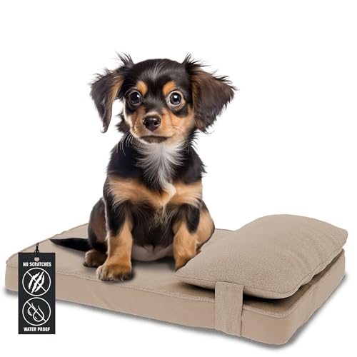 Waschbares Hundebett aus Memory-Schaum, orthopädisches Hundebett für große Rassen, super robust, große Hundebetten für extra große Hunde, waschbarer Bezug Hundebett mit Kissen, quadratische Hundematte von Furrific