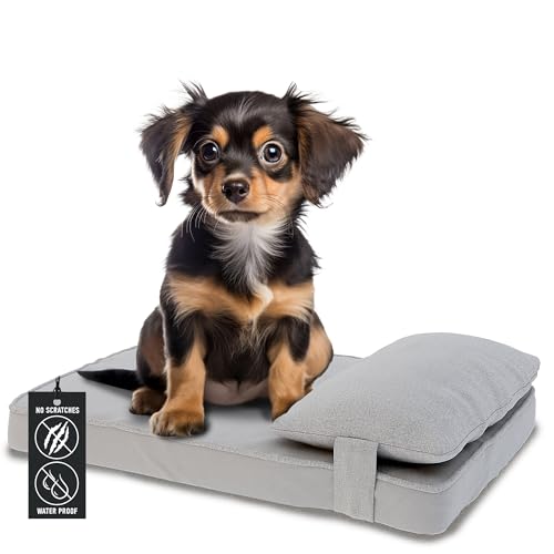 Waschbares Hundebett aus Memory-Schaum, orthopädisches Hundebett für große Rassen, super robust, große Hundebetten für extra große Hunde, waschbarer Bezug Hundebett mit Kissen, quadratische Hundematte von Furrific