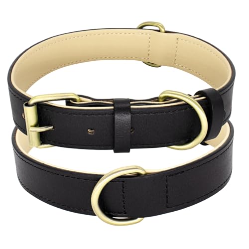 Furry Friends Hundehalsband Leder, Echtes Lederhalsband, Robust, Gepolstert Hundehalsband für Große, Mittleren und Kleinen Hund(S- 27-37cm, Schwarz) von Furry friends