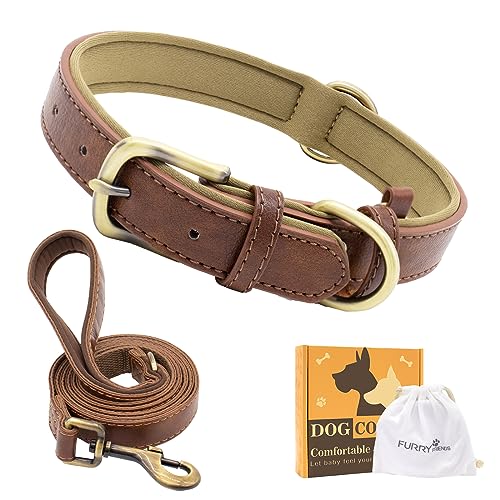 Furry Friends Hundehalsband Leder mit Leine, Gepolstert lederhalsband und Leine Set, Robust, Hundehalsband für den mittleren und kleinen Hund(S- 28-36cm, Braun) von Furry friends