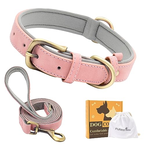 Furry Friends Hundehalsband Leder mit Leine, Gepolstert lederhalsband und Leine Set, Robust, Hundehalsband für den mittleren und kleinen Hund(XL- 53-63cm, Rosa) von Furry friends