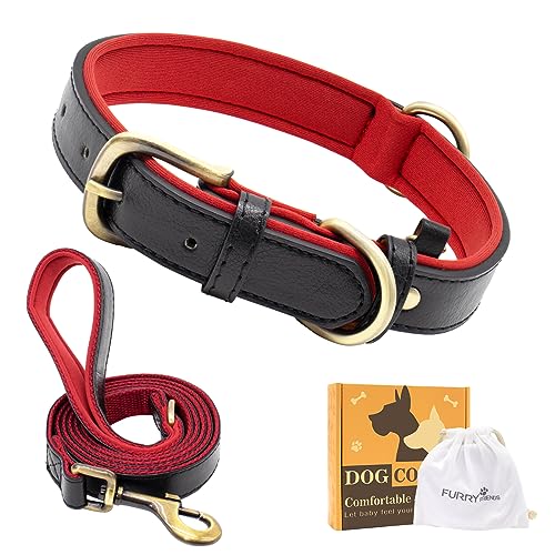 Furry Friends Hundehalsband Leder mit Leine, Gepolstert lederhalsband und Leine Set, Robust, Hundehalsband für den mittleren und kleinen Hund(XL- 53-63cm, Schwarz Rot) von Furry friends