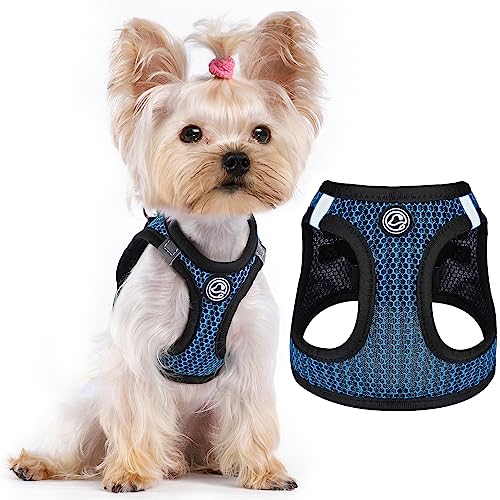 Hundegeschirr Kleine Größe Hund (für unter 9 kg Hund Katze) Step in Small Dog Harness Air Mesh Welpengeschirr Reflektierend Leicht Extra Klein Hundegeschirr Junge Mädchen, Blau, Small von Furrymong