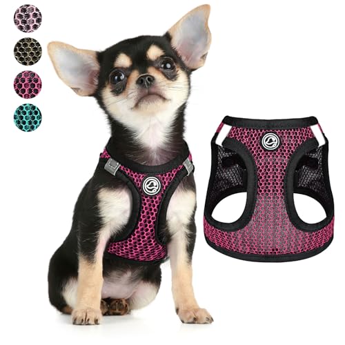 Step in Small Hundegeschirr (für Hunde unter 20 Pfund) Air-Mesh extra kleine Hundegeschirr Weste Welpengeschirr & Katzengeschirr XXXS-L Reflektierendes Hundegeschirr für kleine Hunde (XXXS, Rose) von Furrymong