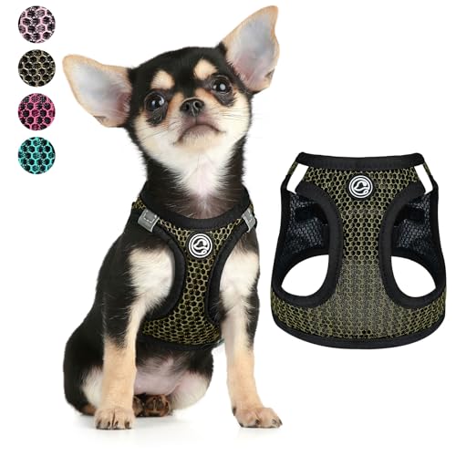 Step in Small Hundegeschirr (für Hunde unter 9 kg) Air Mesh extra kleine Hundegeschirr Weste Welpengeschirr & Katzengeschirr XXXS-L Reflektierendes Hundegeschirr für kleine Hunde (XS, Armeegrün) von Furrymong