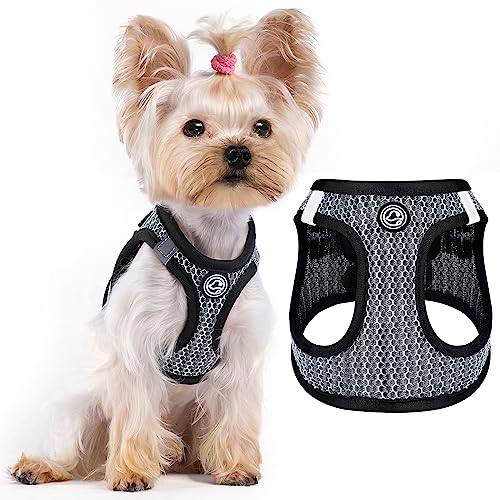 XS Hundegeschirr Mädchen Junge – Extra kleines Welpengeschirr 0,9–2,3 kg – Teetasse Hundegeschirr – Step in Hundegeschirr – Air-Mesh Welpengeschirr für kleine Hunde, Balck, XS Hundegeschirr von Furrymong