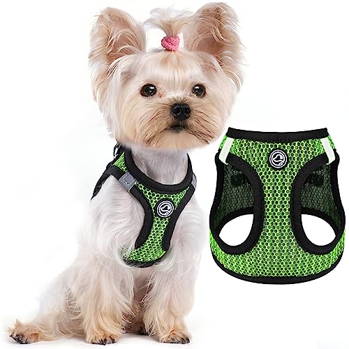 XXSmall Hundegeschirr - Step in Hundegeschirr - Air Mesh Welpengeschirr für kleine Hunde - Leichtes Extra Kleine Hundeweste Geschirre Reflektierendes Hundegeschirr für Kleine Hunde Chihuahua von Furrymong