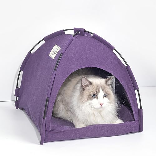 FURRYTAIL Katzenbett für Indoor-Katzen, Katzenhäuser, Haustierbetten für Katzen und kleine Hunde, Katzenzelt, Kätzchenbett, Katzenhütte, Katzenhöhle mit abnehmbarem, waschbarem (Lila) von Furrytail