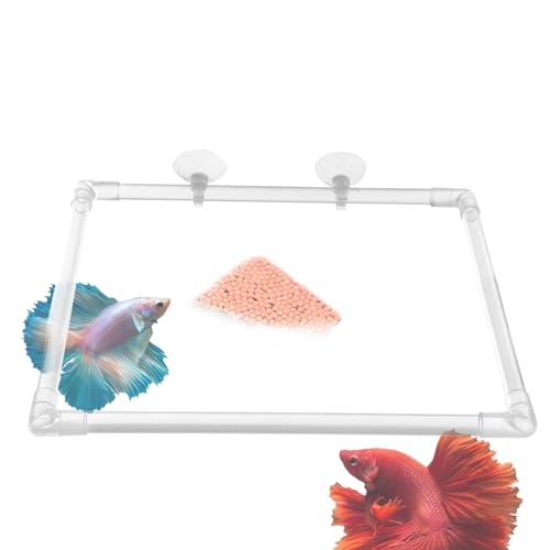 Furtryvl Fish Feeder Ring | Pflanzenringe Betta Feeder Ring | Fischfutter Feeder mit Saugnäpfen, Acryl Aquarium Feeder Pflanze Corral, schwimmender Betta Futterring von Furtryvl