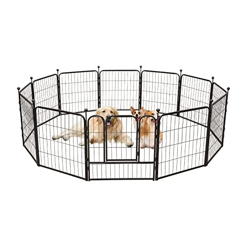 12 Gitter Welpenauslauf 60x60cm Hoch Metall Freigehege für Hund Tierlaufstall Sicherer Laufstall Gittergehege Laufgitter für Hunde Hasen Meerschweinchen Katzen von Futchoy