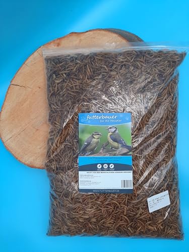 1 Kg Futterbauer Mehlwürmer von Futterbauer