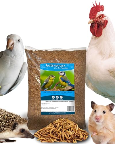 Futterbauer 1kg Soldatenfliegenlarven getrocknet, Premium Vogelfutter, Fischfutter, Futter für Reptilien und Nager, Proteinreiches Naturfutter wie Mehlwürmer von Futterbauer