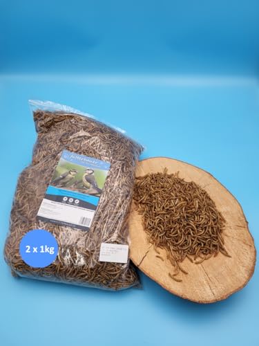 2X 1 kg Futterbauer Mehlwürmer Vogelfutter Igelfutter Nagerfutter von Futterbauer