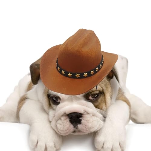 Fuuxtci Hunde-Cowboyhut, Cowboyhut für Hund, Atmungsaktive Haustier-Cowboyhut-Katzenkappen, Welpen-Halloween-Kostüme, Haustier- -Dekoration, Cowboy-Kostüm, Cosplay-Hüte für Sommerspaziergänge im von Fuuxtci