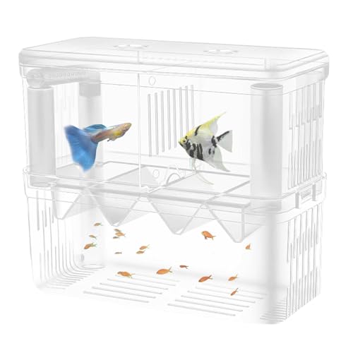 Fuuxtci Inkubator-Zuchtbox, Aquarium-Zuchtbox | Doppelschichtige Acryl-Zuchttank-Isolierungsbox,Transparente Brutbox mit Saugnapf für Clownfische, Guppys und kleine Fische von Fuuxtci