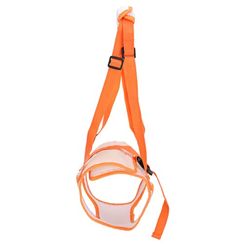 Fydun Mesh Pet Dog Lift Harness Hinterbeinstützgürtel Hebehilfe für Behinderte Verletzungen ElderM für Familien (L) von Fydun