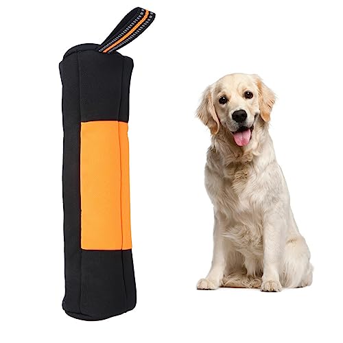 Fydun Oxford-Stoff, Tragbar, für den Außenbereich, für Hunde, Welpen, Hundetraining, Snack, Belohnungstasche, Orange, XL, für Familien (L) von Fydun