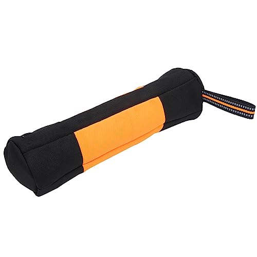 Fydun Oxford-Stoff, Tragbar, für den Außenbereich, für Hunde, Welpen, Hundetraining, Snack, Belohnungstasche, Orange, XL, für Familien (XL) von Fydun