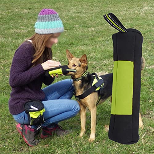 Fydun Oxford-Stoff, Tragbar, für den Außenbereich, für Hunde, Welpen, Hundetraining, Snack, Belohnungstasche, Orange, XL, für Familien (XL) von Fydun