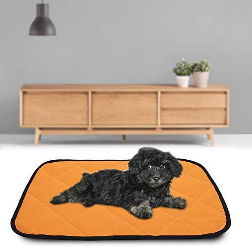 Fydun Oxford-Tuch, Tragbar, für den Sommer, Wasserdicht, Haustier-Schutzhülle, Bodenmatte, Auto-Auflage, Zubehör für Katzen, Hunde, Orange, M für Familien (XL) von Fydun