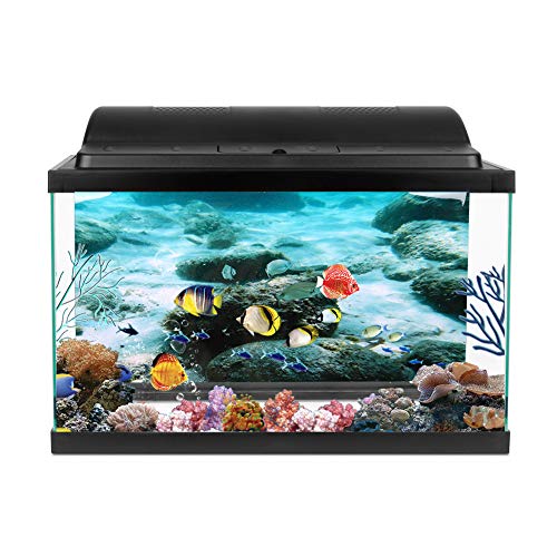 Fydun PVC-Kleber, Meeresboden, Felsmuster, Aquarium-Hintergrund, Poster, Aufkleber, Aquarium-Dekoration, 61 X 30 cm, für Familien (61 * 30CM) von Fydun