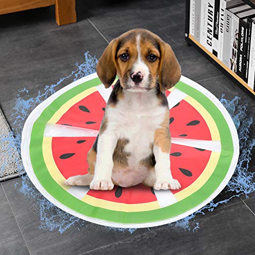 Fydun Pet Ice Pad PVC Fruit Pattern Round Cooler Mat Wasserkühlungskissen Summer Cats Dogs for SeatWatermelon für Familien (Wassermelone) von Fydun