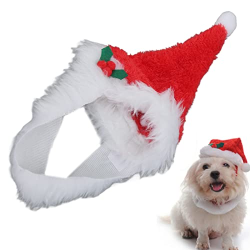 Weihnachtshut für Haustiere, Weihnachtshut für Haustiere, schöner Weihnachtsmannhut für Hunde, mit Haken und Schnallen, Bart für (L) von Fyearfly