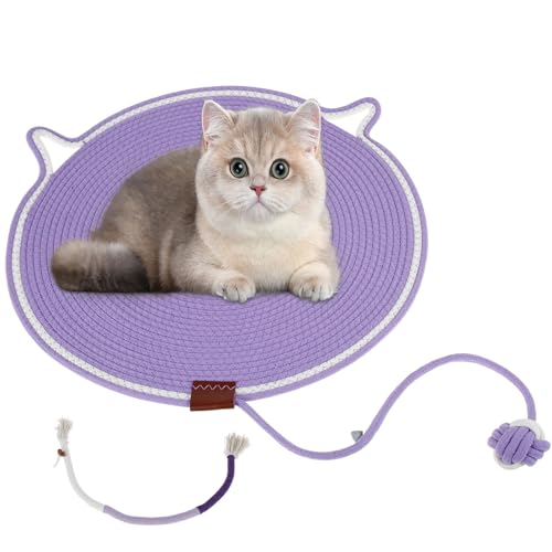 2 Stück Katzenspielzeug mit Ball Katzen Kratzbrett 50cm mit Katzenbeißseil 60cm Kann Aufgehängt Werden Interaktives Katzenspielzeug für Zähne Knirschen Zähne Reinigen Zahnfleisch Schützen (Lila) von Fyeme