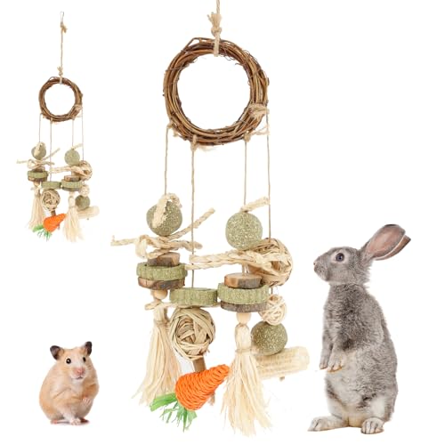 Fyeme 2 Stück Kaninchen Zubehör Kaninchen Spielzeug Beschäftigung Maiskolben Karottenform Meerschweinchen Spielzeug für Kleinnager Wie Hamster Meerschweinchen Chinchillas Kaninchen von Fyeme