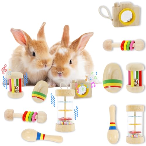 Fyeme 6 Stück Kaninchen Spielzeug Hamster Kauspielzeug mit Klang Natürliche Holz Handgefertigt Kleintiere Kauspielzeug für Meerschweinchen Kaninchen Chinchillas Hamster Rennmäuse von Fyeme