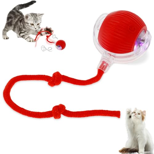 Fyeme Hundeball Elektrisch 7cm Magic Ball Hund Silikonmaterial 4 Modi Wiederaufladbar Intelligente Sensorik Interaktiver Spielball für Hunde Geeignet für Katzen Hunde Jeden Alters von Fyeme