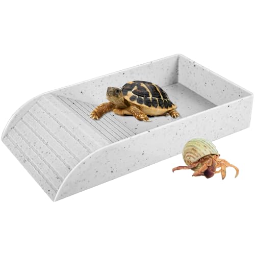 Wasserbecken für Schildkröten 36×20×6cm Wasserschildkröten Zubehör mit Kletterrampe Anti-Rutsch Design Schildkröten Zubehör Geeignet für Amphibien Reptilien (Weiß, 30.5×14.8×5.8cm) von Fyeme