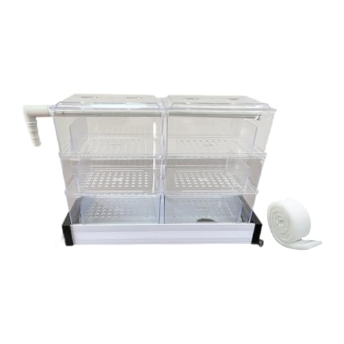 FytStycale Aquarium Überlaufbox für Fischtank mit Wasserreinigung und Filterfunktion, 6 Kisten FytStycale Aquarium Überlaufbox für Fischtank mit Wasserreinigung und Filterfunktion, 6 Kisten von FytStycale