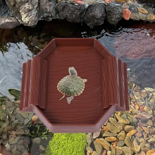 FytStycale Schildkröten-Wasserbehälter, Reptilien-Futternapf, Aquarium-Dekoration, Schildkröten-Futterstation, Dunkelrot FytStycale Schildkröten-Wasserbehälter, Reptilien-Futternapf, Aquarium-Dekoration, Schildkröten-Futterstation, Dunkelrot von FytStycale