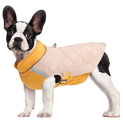 G-LIKE Hunde Kleidung Wattejacke Geschirr – Warme Wattierte Hundejacke Gefütterter Hundemantel Outdoor Haustier Winddichte Weste mit Traktionsring Reflektor Klettverschluss Schnalle (L, BeigeGelb) von G-LIKE