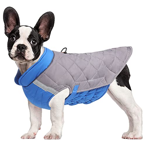 G-LIKE Hunde Kleidung Wattejacke Geschirr – Warme Wattierte Hundejacke Gefütterter Hundemantel Outdoor Haustier Winddichte Weste mit Traktionsring Reflektor Klettverschluss Schnalle (XXL, GrauBlau) von G-LIKE