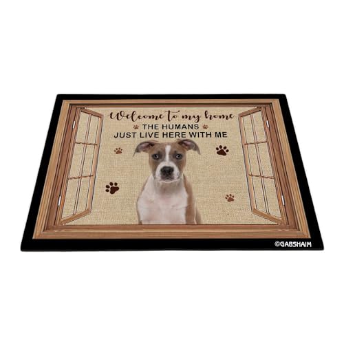 GABSHAIM Fußmatte mit Aufschrift "American Staffordshire Terrier", lustiger Hund am Fenster, Pfotenabdrücke, Fußmatte, Heimdekoration, 80 x 60 cm von GABSHAIM