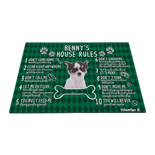 GABSHAIM Fußmatte mit lustigem Chihuahua-Motiv, Hundehausregeln, Pfoten, grünes Büffelkaro, für Zuhause, dekorative Bodenmatte, 89,9 x 60,9 cm, Stil 1 von GABSHAIM