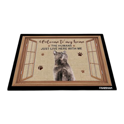 GABSHAIM Germanrex Fußmatte mit Aufschrift "Welcome to Dog House", lustige Katze am Fenster, Fußmatte, Heimdekoration für Katzenliebhaber, 80 x 50 cm von GABSHAIM