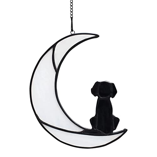 GADXE Hängekörbe Küche Holz Niedliche Hunde, Gedenkgeschenke, Hunde auf dem Mond, Bunte Acryl-Flugzeug-Anhänger, Fensterdekorationen Hängematte Baby Gestell (A, One Size) von GADXE